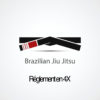 grapplisses, abonnement Jiu jitsu brésilien en 4 fois sans frais